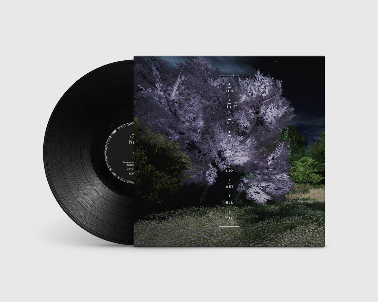 Martin Kohlstedt - Nacht (LP)