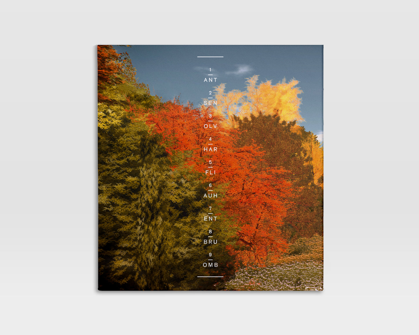 Martin Kohlstedt - Tag (CD)