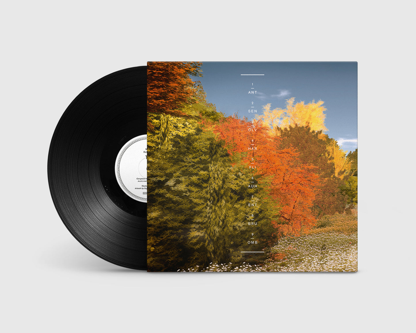 Martin Kohlstedt - Tag (LP)